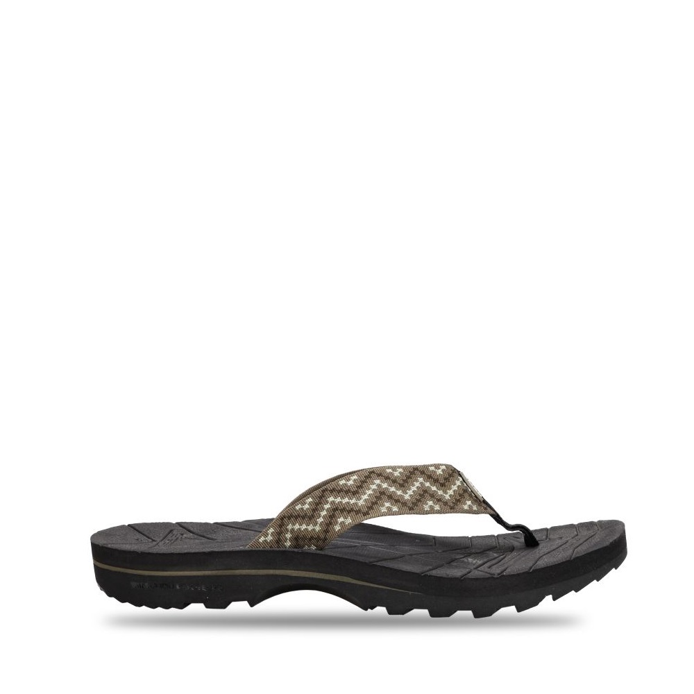 910008543 KINKAJOU 3.5 - OLI