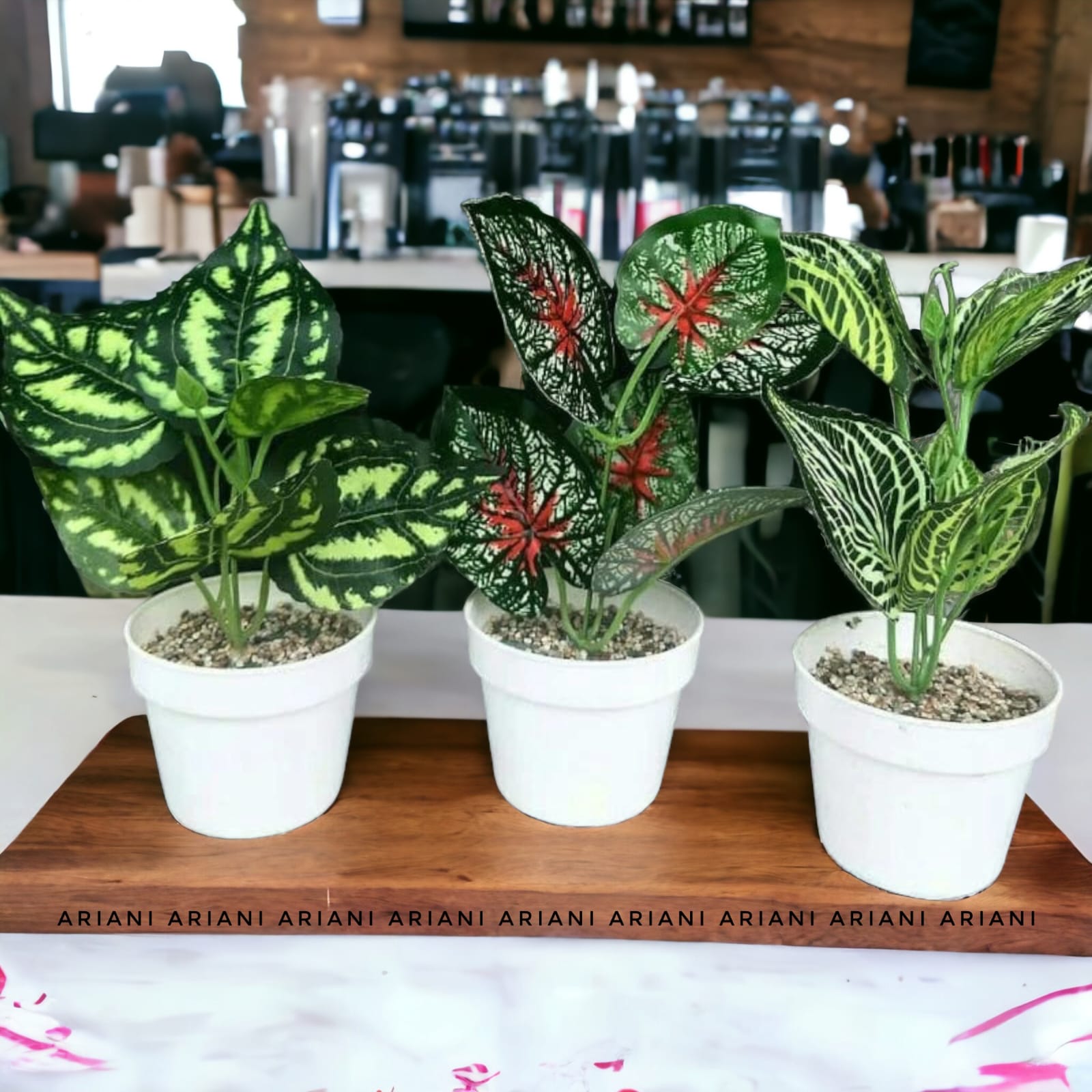 ARIANI1318 SET BUNGA DAUN PLASTIK DENGAN POT PLASTIK PUTIH
