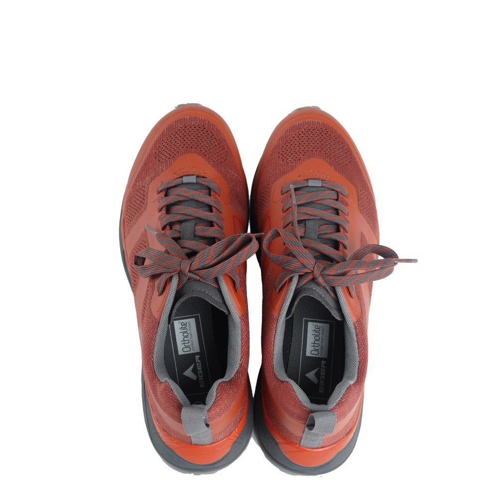 910007704 HARRIER - RED