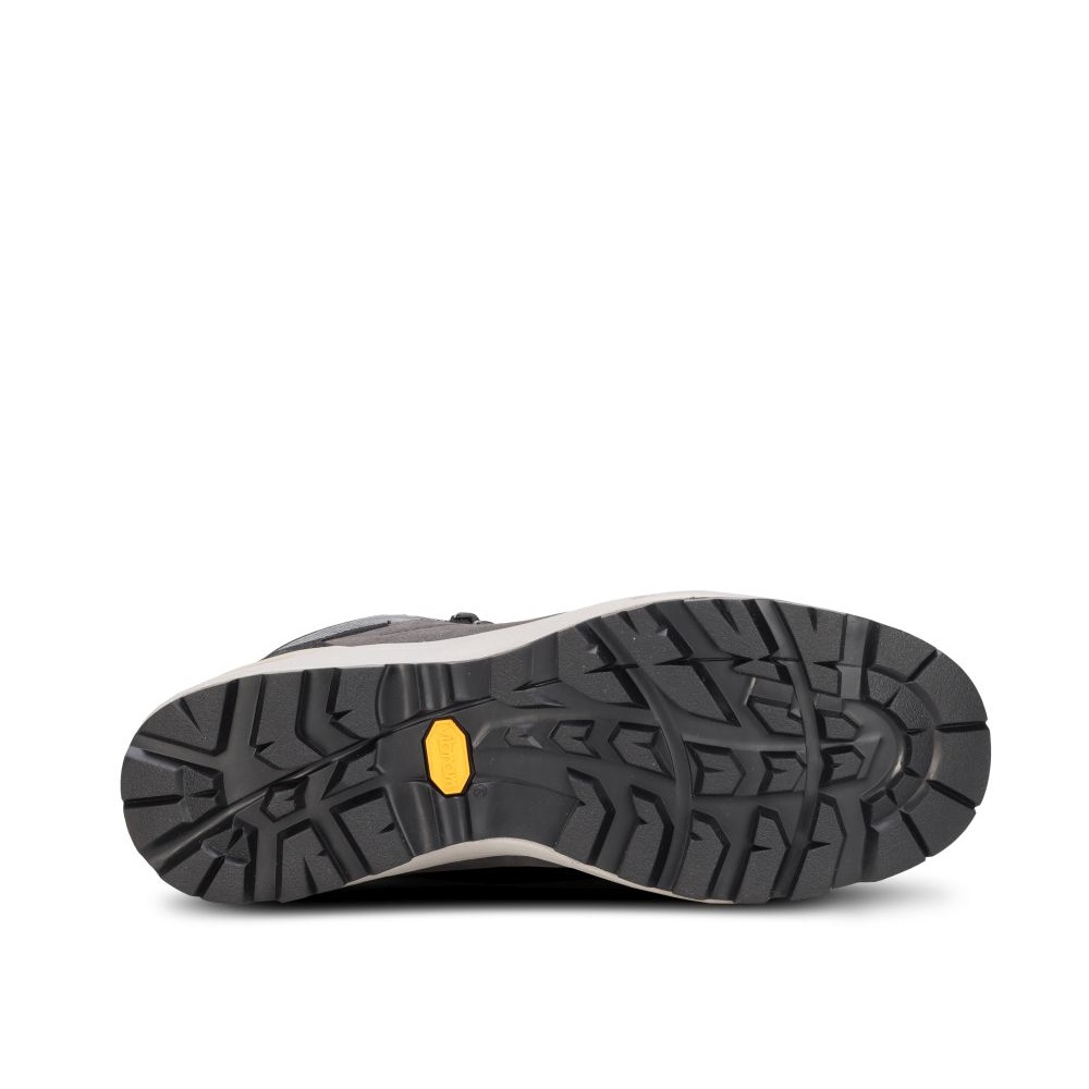 910008427 WAGLERI MID