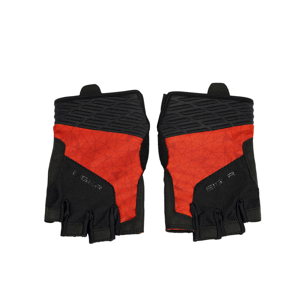 CICLISMO HF (910009803)