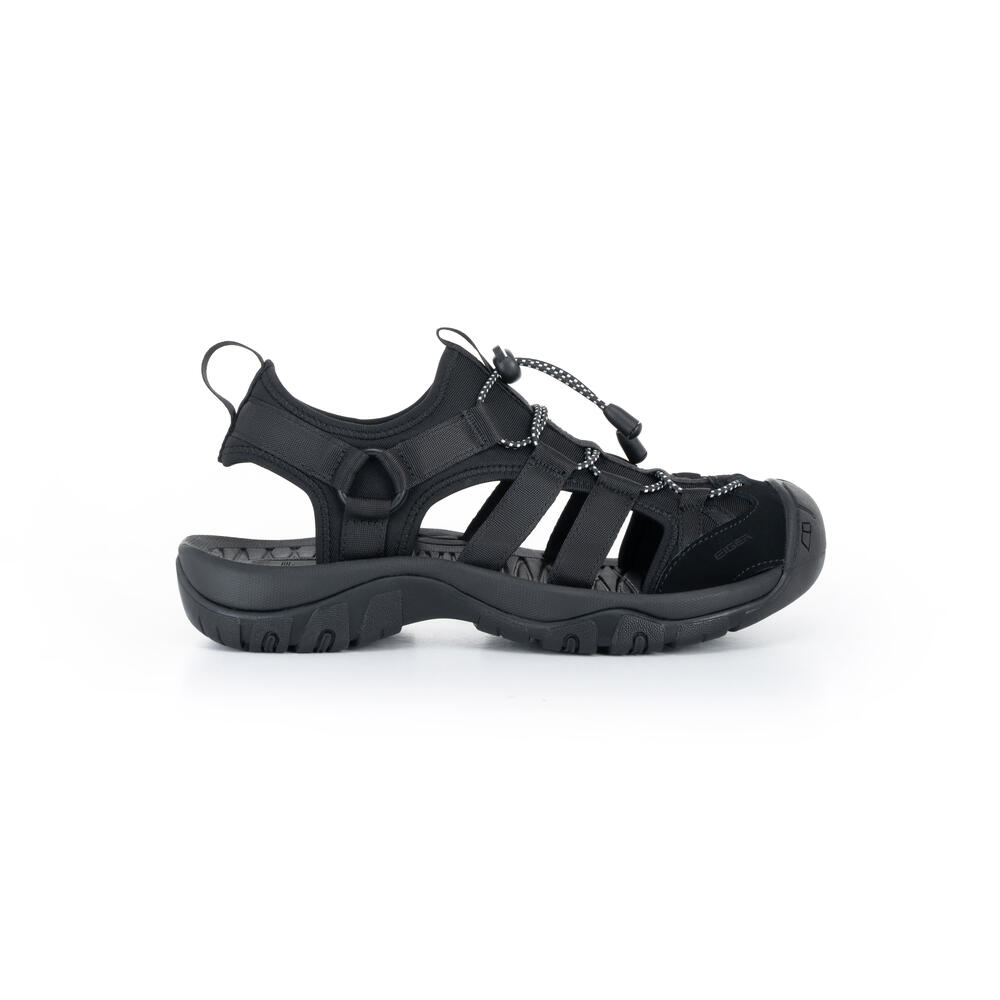 910008423 LACERTA WS