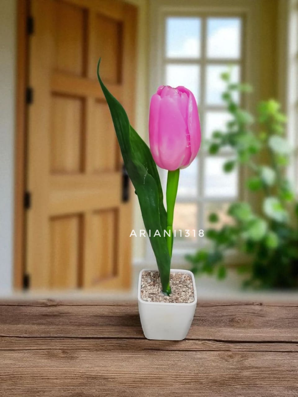 ARIANI1318 SET BUNGA TULIP TANGKAI DENGAN POT MINI