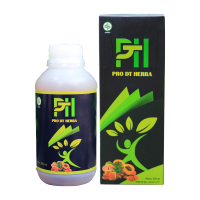 Obat Ginjal Herbal Paling Ampuh Atasi Ginjal Secara Alami Ginjal Kronis Gagal Ginjal Sakit Ginjal Infeksi Ginjal Ginjal Bocor Batu Ginjal Ginjal Bengkak Tanpa Cuci Darah – Atasi Dengan PRO DT HERBA Asli Herbal