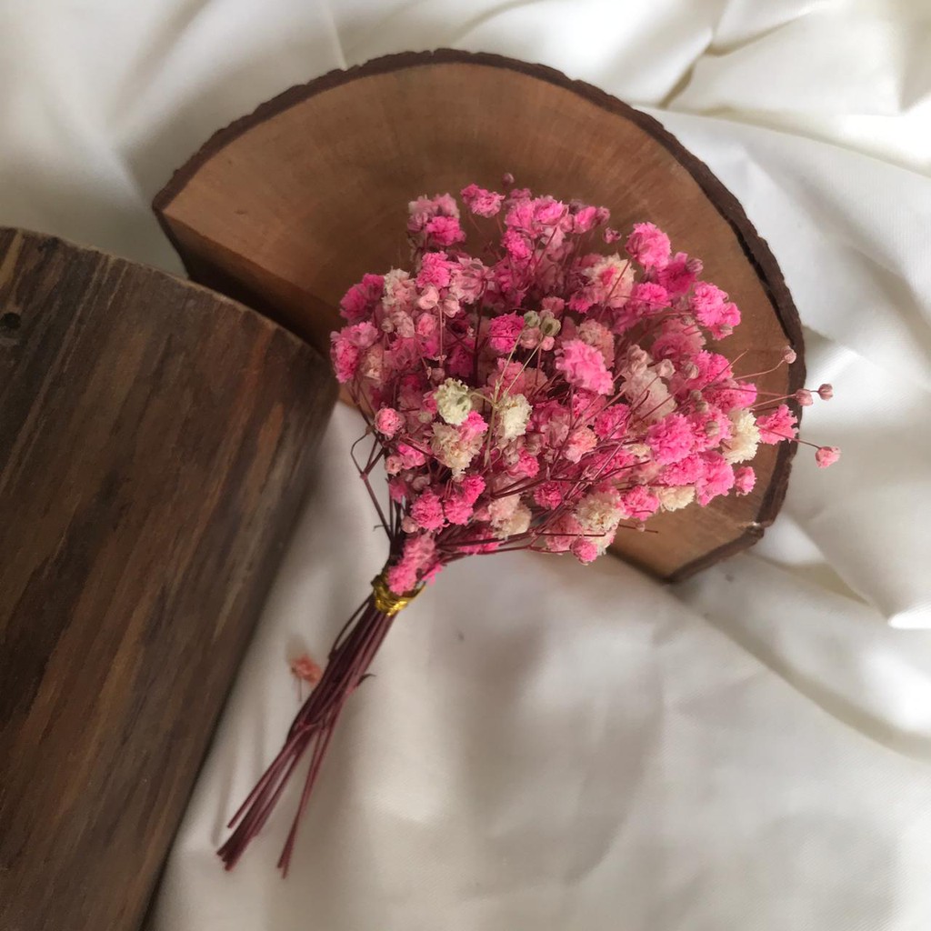 KOREAN BABY BREATH KERING NATURAL DAN WARNA BUNGA KERING DRIED FLOWER