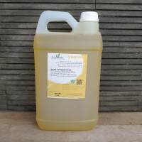 Sabun Mandi Cair Body Wash Plus Shampo 2in1 Premium Standar Hotel 5 Liter Sudah BPOM dan Halal - Yellow
