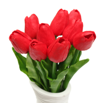 Terbaru 21 Harga  Bunga  Tulip 