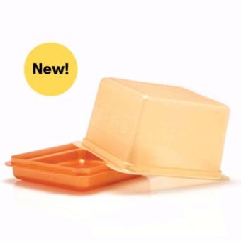 fitur tupperware bread n buddy dan harga terbaru info fitur tupperware bread n buddy dan harga terbaru info