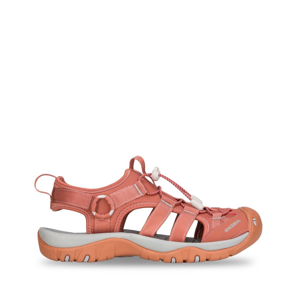 910008423 LACERTA WS