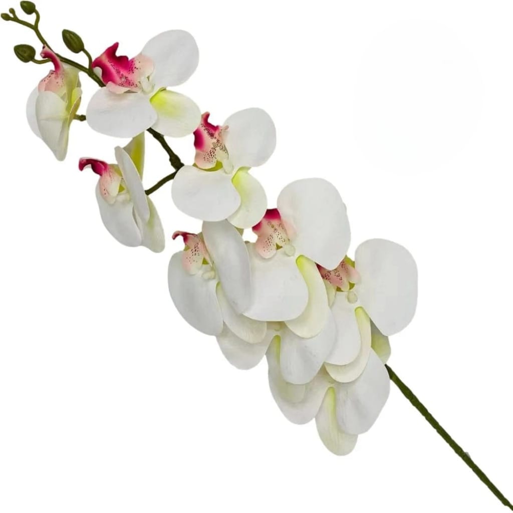 FOREVER - Bunga hias Anggrek Latex 105cm 3D Real Touch Anggrek Latex Premium Jumbo Large Orchid