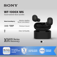 SONY WF-1000XM6 Noise Canceling Truly Wireless / WF1000XM6