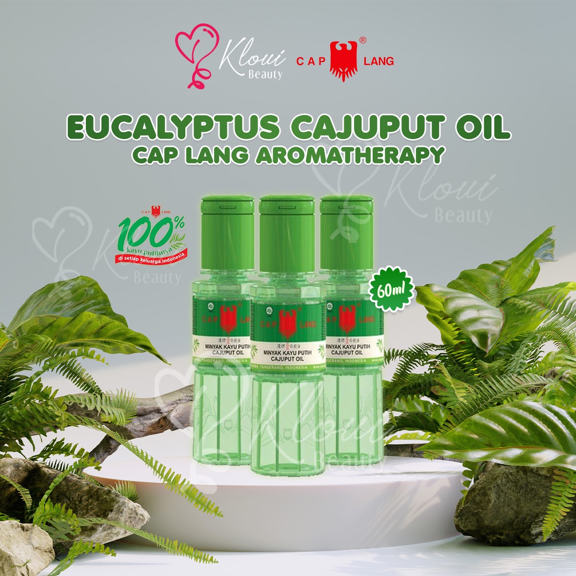 Minyak Kayu Putih || Minyak Kayu Putih Cap Lang 60ml || Caplang Minyak Kayu Putih || Minyak Kembung Bayu Caplang
