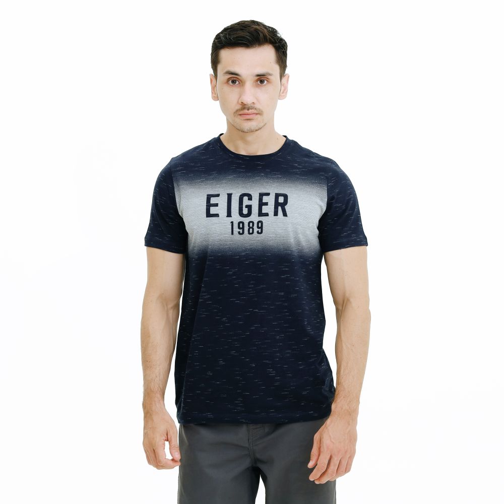 910005475 NEBULOUS 1.0 - NAV