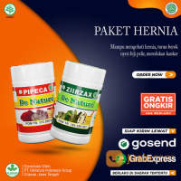Obat Hernia Turun Berok Paling Ampuh Prostat Sirkulasi Pembengkakan Ziirzak Pipeca De Nature