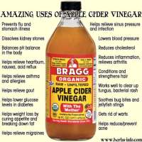 Bragg Apple Cider Vinegar - 473 mL ( Cuka Apel Bragg )