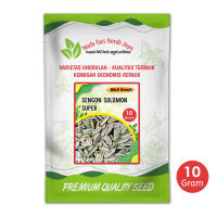 Benih sengon solomon super asli 10 gram / bibit benih pohon albasia unggul