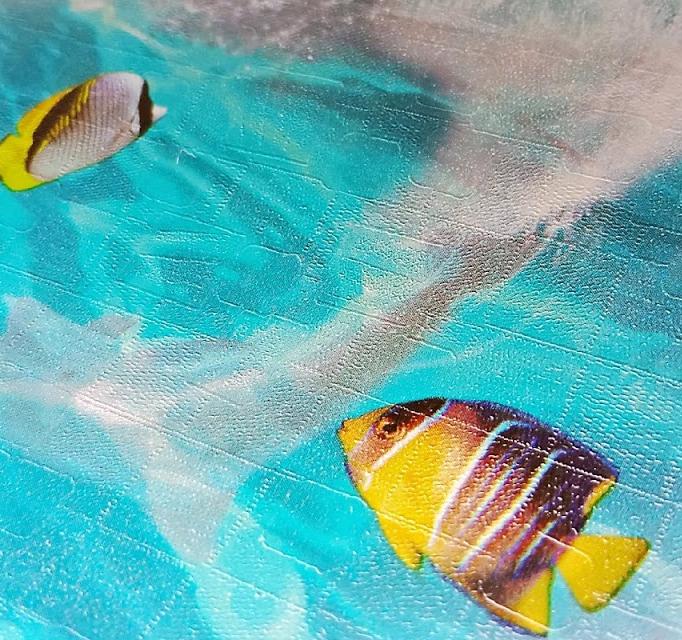 Download 5000 Wallpaper Dinding Ikan Paling Baru Download 5000 Wallpaper Dinding Ikan Paling Baru