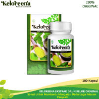 KELOREENA Obat Lemah Syahwat Disfungsi Ereksi Gangguan Ereksi Cepat Keluar Mani Encer Katup Mani Bocor Susah Ereksi Impoten Tidak Lama Mengentalkan Sperma Ekstrak Daun Kelor Kapsul Moringa Oleifera