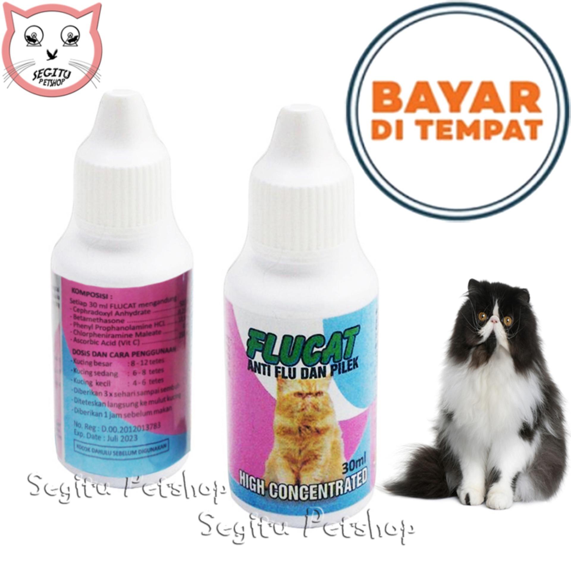 Kucing Flu Obat Batuk Dan