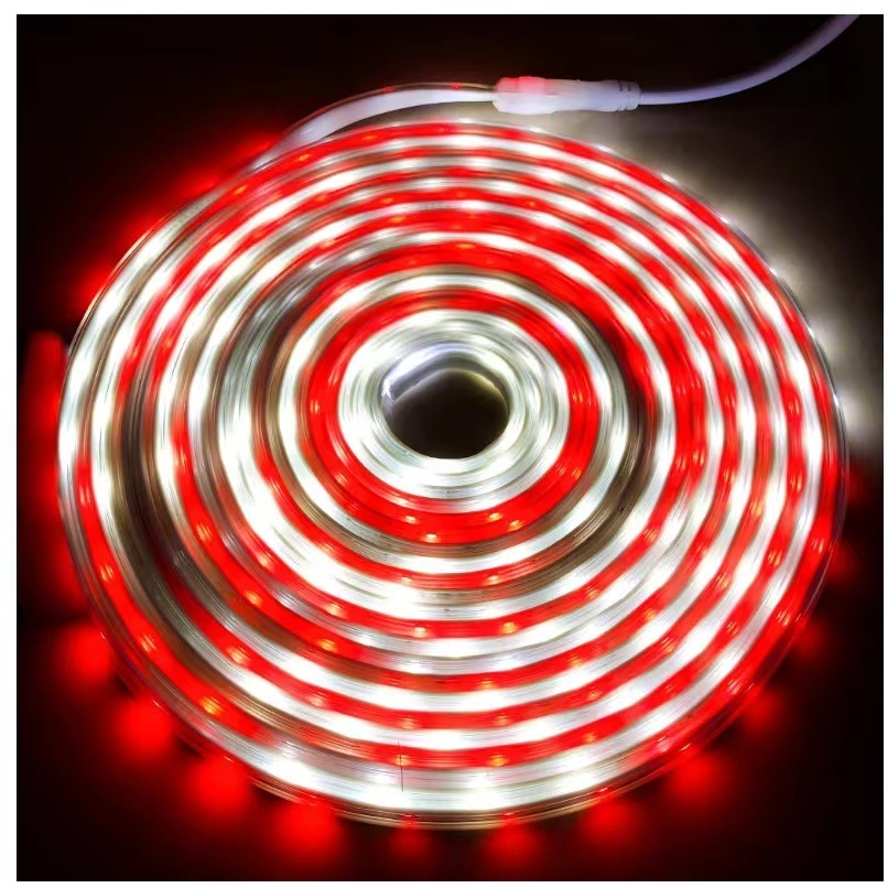 Lampu merah putih Led strip 7meter lampu Hias Hakamitsu HLS -6018MP lampu selang Merah Putih Kemerdekaan 17Agustus Waterproof Outdoor Indoor untuk Tujuh belas agustus kualitas premium