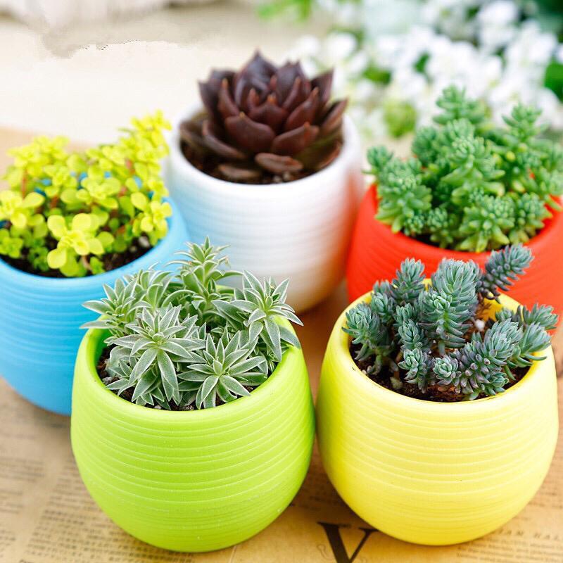 Gambar Hiasan Pot Bunga - GAMBAR BUNGA