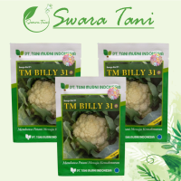 [Termurah] Benih Bunga Kol F1 TM BILLY 31 10 Gram