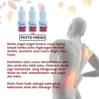 PROMO....! Phyto fresh Minyak gosok minyak angin minyak urut Aroma therapy (1 box isi 10 pcs)