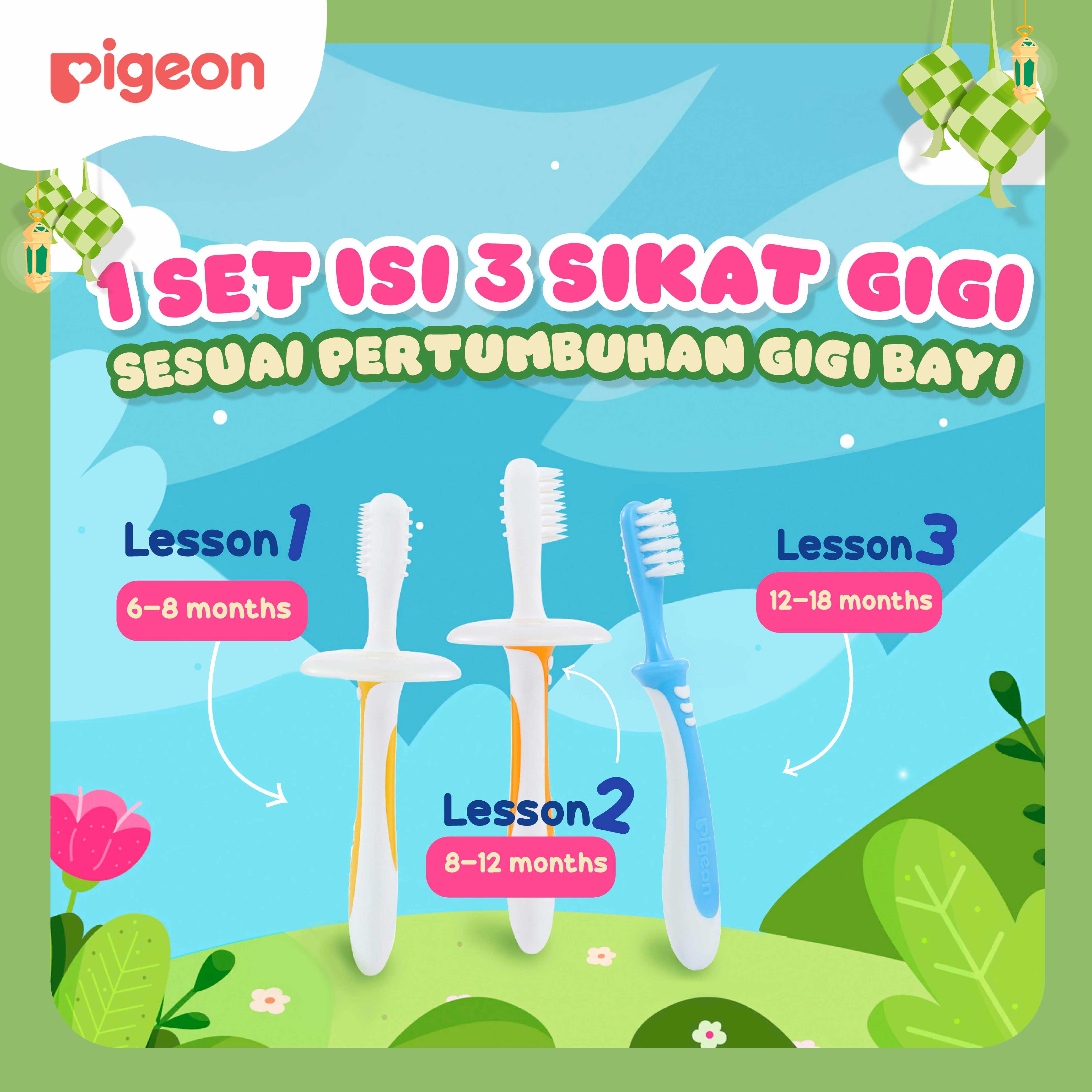 PIGEON TRAINING TOOTHBRUSH LESSON | Sikat Gigi Bayi