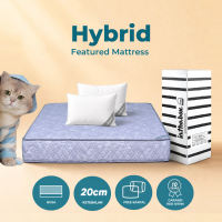 Kasur Busa IN THE BOX Hybrid - FREE Bantal  Ukuran 90x200 100x200 120x200 140x200 160x200 180x200 & 200x200