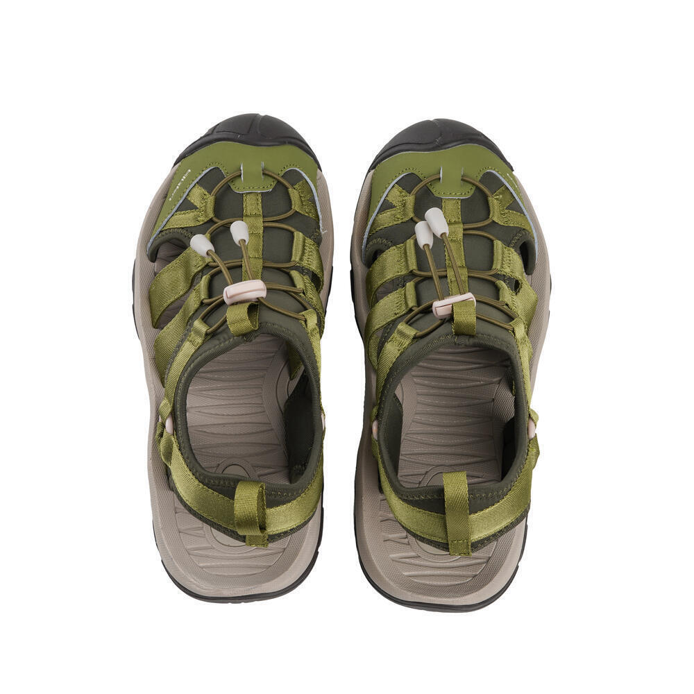 LACERTA WS (910008423)