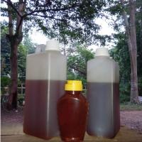MADU ASLI KALIMANTAN 1KG