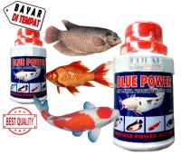 Obat Ikan Obat Jamur Ikan Obat Anti Virus Anti Parasit Anti Kuman Bakteri Luka Ikan Hias Gurame Emas Udang Bandeng Mujair Nila Arwana Lele Koi Patin Semua Jenis Ikan BLUE POWER - Kemasan 100ML - Hijrah Pet Shop