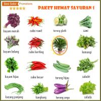 BIJI BENIH PAKET HEMAT SAYURAN 1