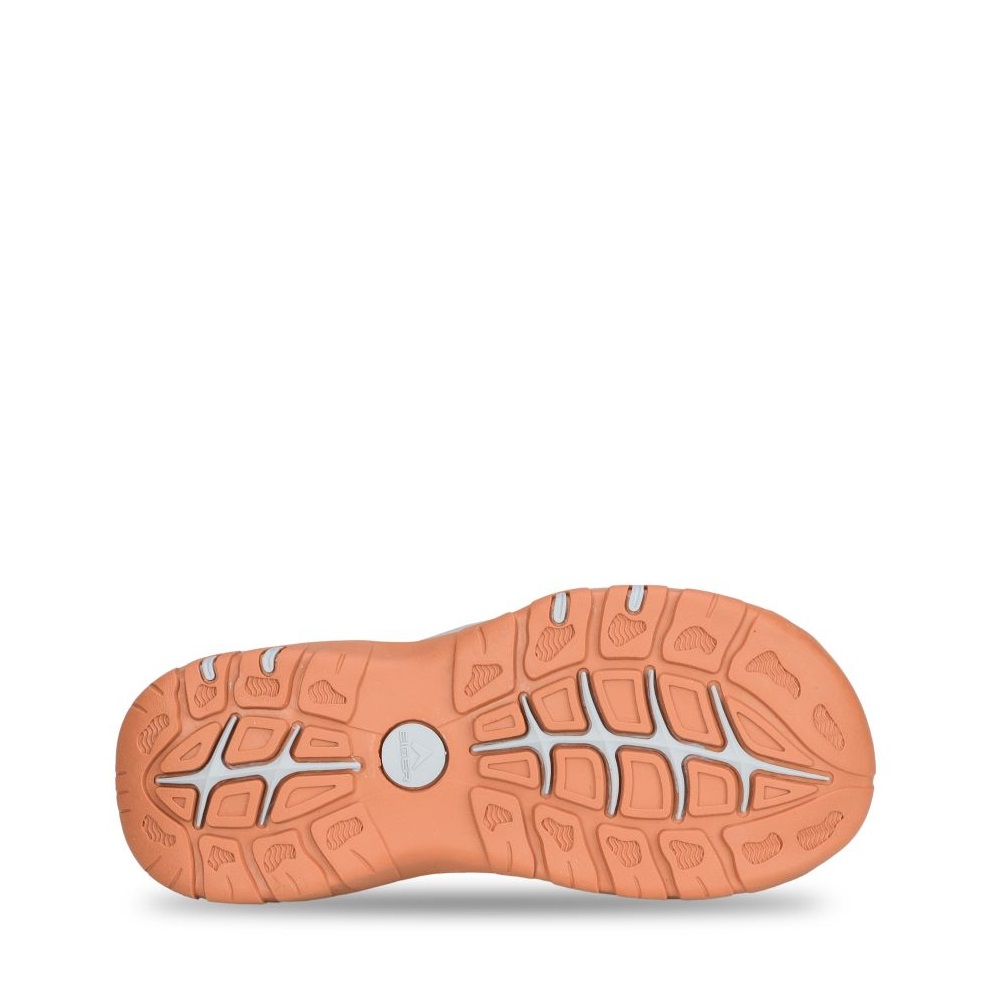 910008423 LACERTA WS