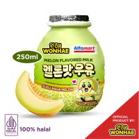 Mujigae by Wonhae Melon Milk 250 mL