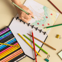 Agatis Prime - Pensil Warna 1 Set Isi 24 Warna Kualitas Premium Permanent Color