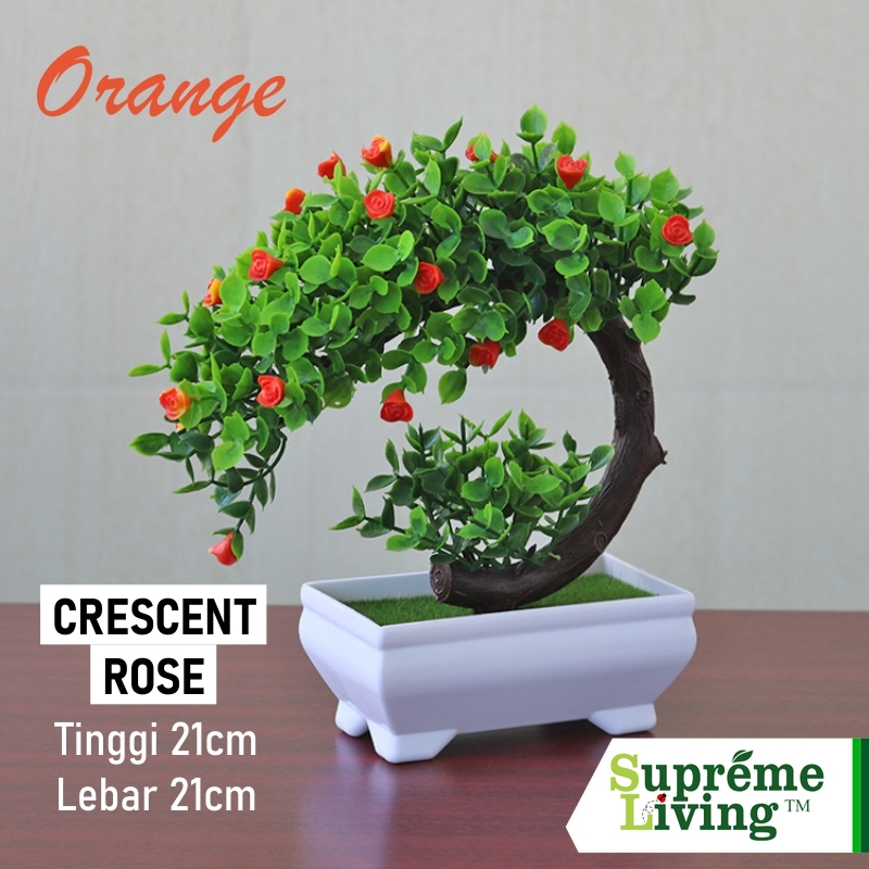 Pohon Bonsai Plastik Hiasan Dekorasi Rumah Pot - Crescent Rose