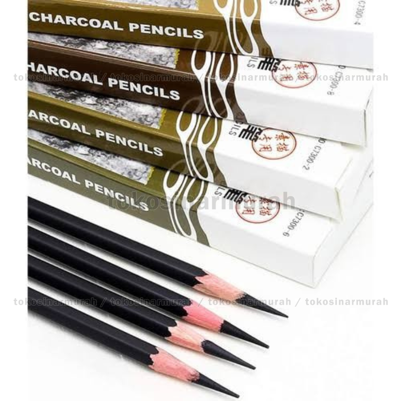 Maries Charcoal Pencil Sketch C7300 Sketsa Pensil