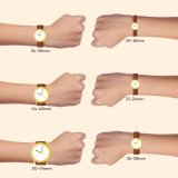 Alexandre Christie Classic Steel 8490LHLRGSL - Jam Tangan Wanita Rose Gold Januari 2019 - 2 Alexandre Christie Classic Steel 8490LHLRGSL - Jam Tangan Wanita Rose Gold - 2