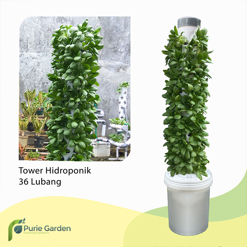 Tower Hidroponik 36 Lubang tower hidroponik 36 lubang