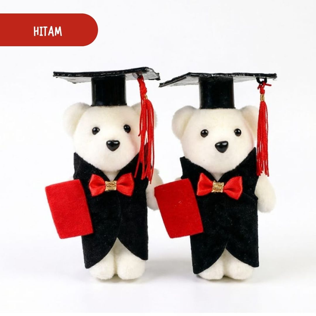 ECER 2PCS Boneka Bear Wisuda Mini 14cm - Aksesoris Hiasan Buket Bunga Kado Hampers Graduation BB003