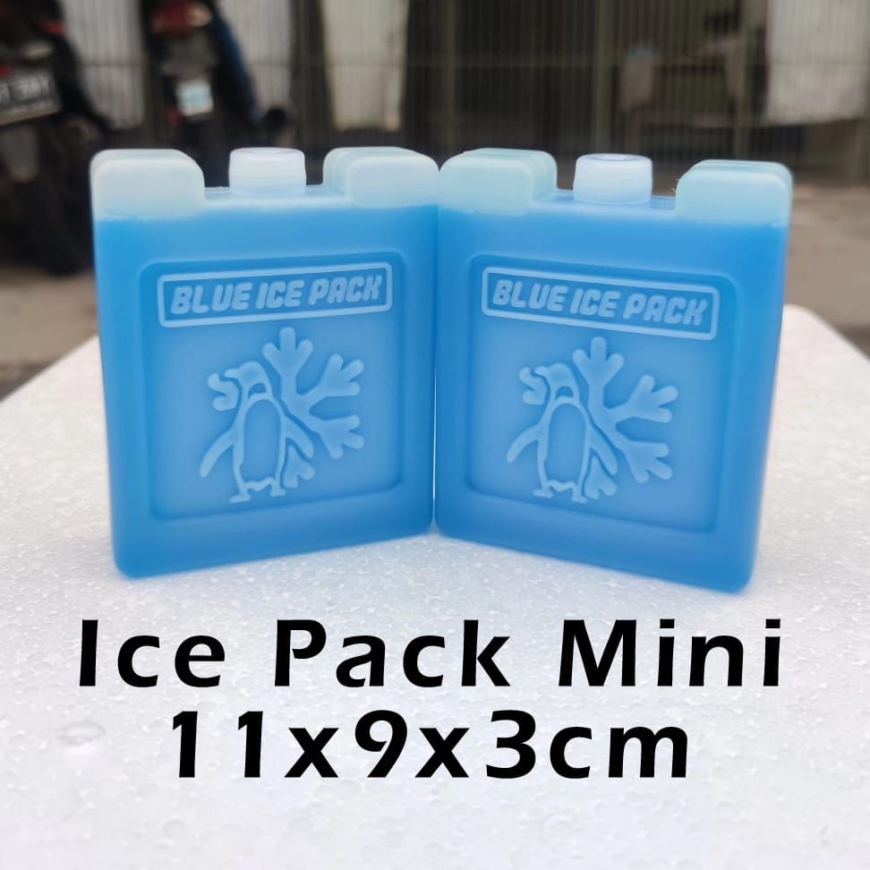 Ice Pack MINI ukuran 11x9x2cm