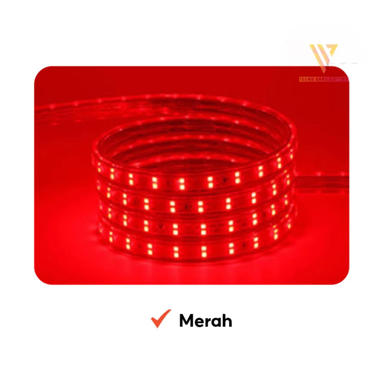 Lampu LED Rumah Strip Selang 220V Panjang 5 | 10 | 30 Meter Dekorasi Outdoor Indoor Warm White Biru