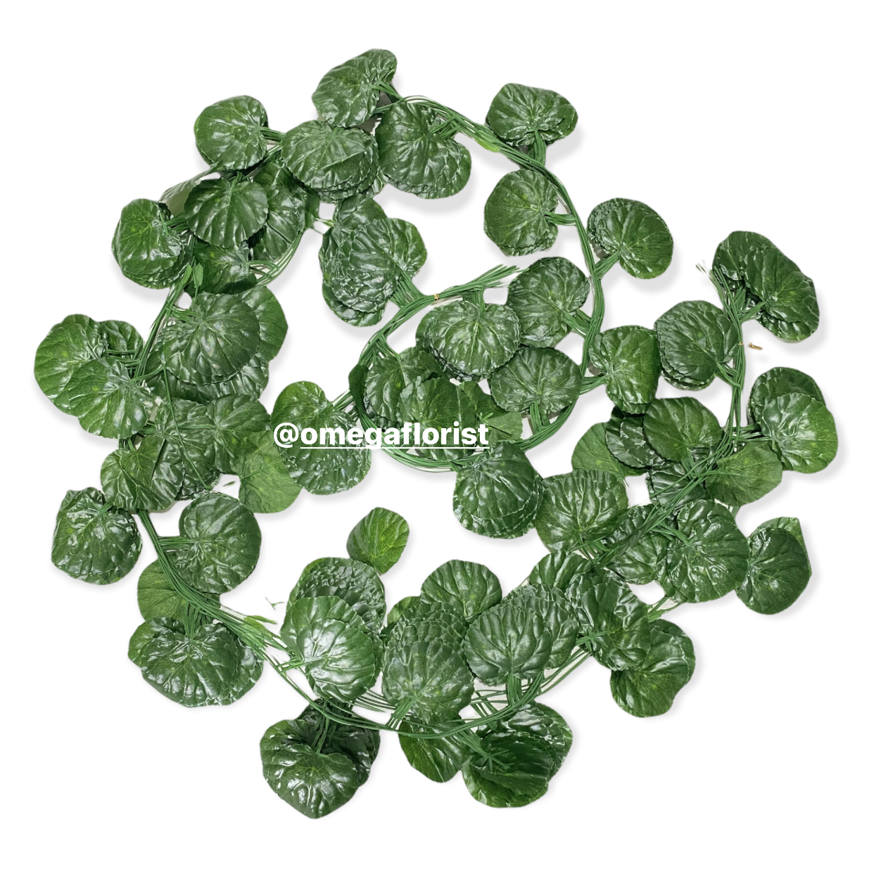 Daun Rambat Besar Lusinan Panjang +- 240 CM (ISI 12) Daun Anggur Bulat Daun Anggur Daun Lvy Daun Watermelon Daun Sirih Gading