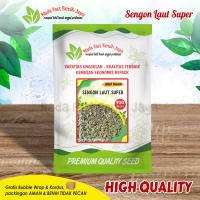 Bibit sengon laut super 950 Biji super original /  bibit benih albasia Unggulan Terbanyak