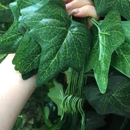 Daun Rambat Besar Plastik Juntai Panjang Jumbo 1 Meter 2.2 Meter Vas Bunga Wajik Dekorasi Hias Dinding Anggur Semangka Sirih Gading Ivy