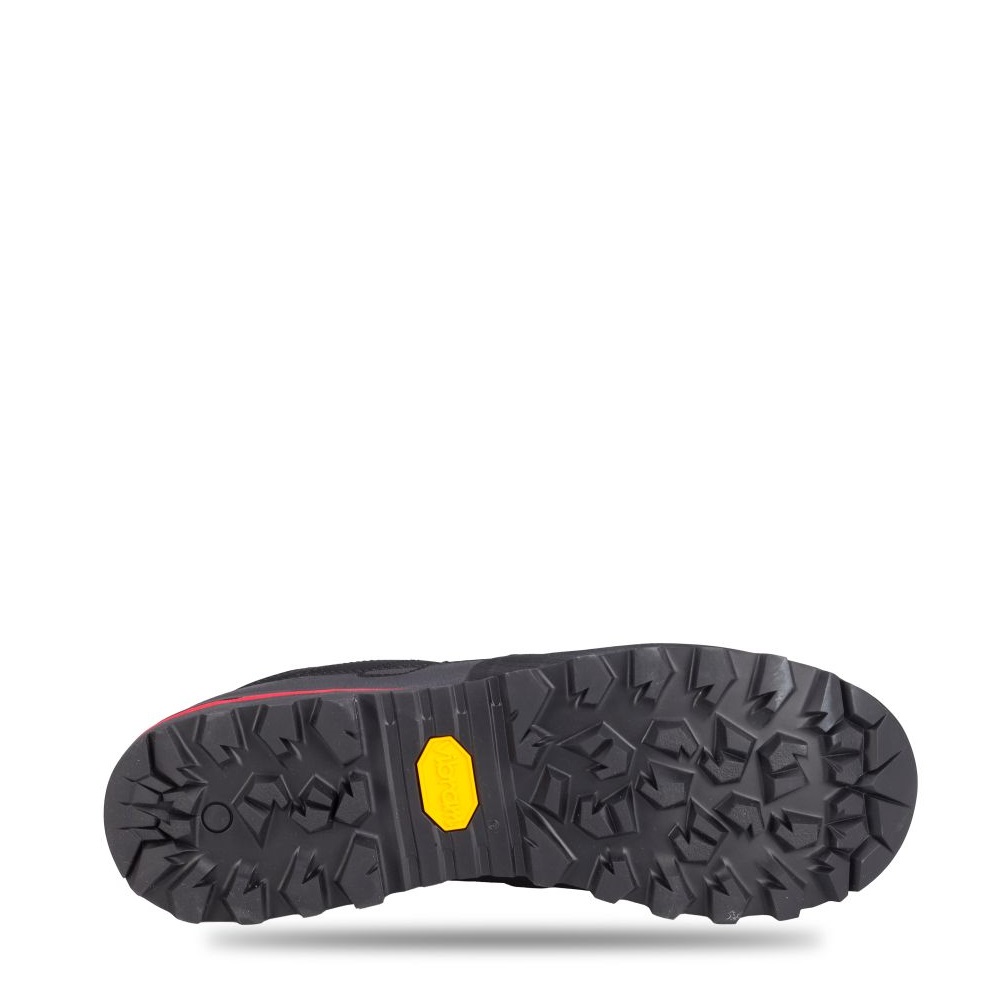 STINGRAY 1.0 (910007705)