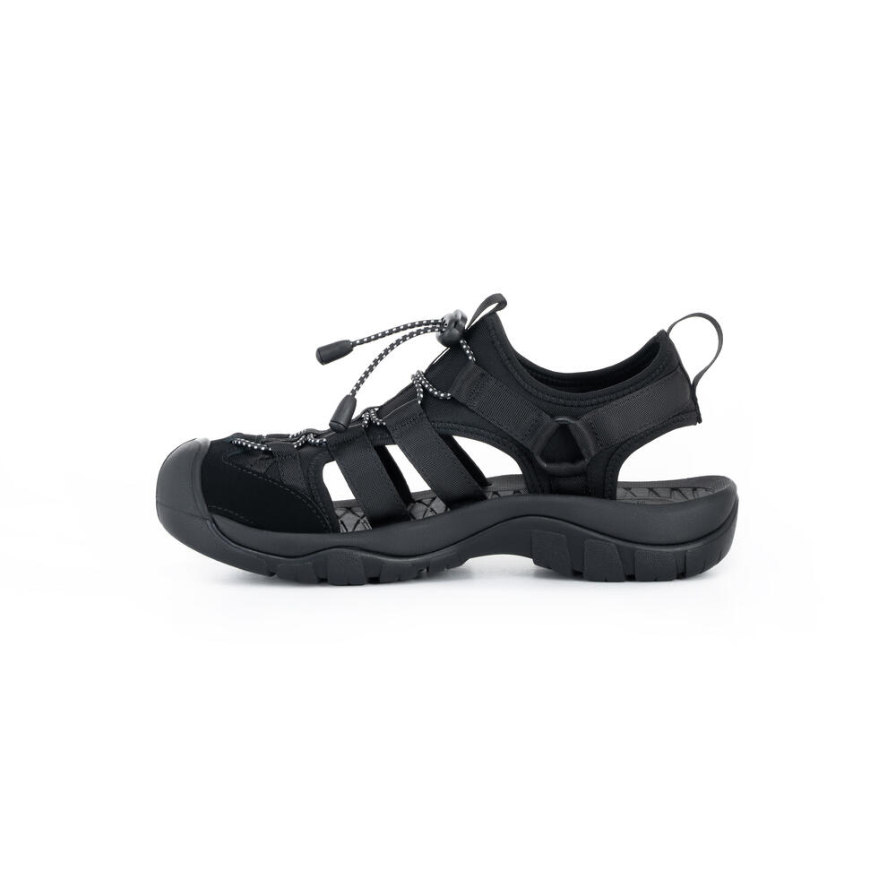 910008423 LACERTA WS