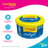 California Scents Newport New Car Mini Gel Cans Pengharum Mobil