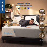 Kasur Latex Spring Bed Natural Fabric IN THE BOX ORGANIX PLUSH - FREE Bantal & Mattress Protector  Ukuran 90x200 100x200 120x200 140x200 160x200 180x200 & 200x200